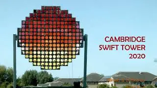 Cambridge Swift Tower 2020