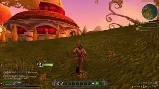 WoW: Blood-Elf Hunter Lvl 1-10