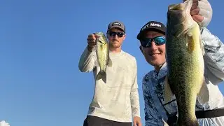 The MOJO RIG. Awesome Forgotten Deep Grass Technique