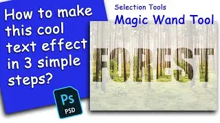 Selection Tool - Magic Wand Tool