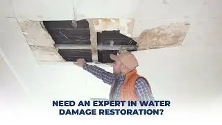Get your free quote on water damage services