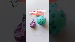 Eksperimen Sains Balon - Ikan Buntal Menggembung #eksperimen #shorts