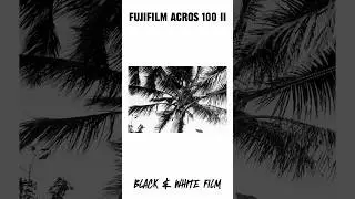 Shooting Fuji Acros 100 ii and Kentmere Pan In The Caribbean