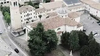 Ultimo giorno di vita del pino centenario di Caerano San Marco