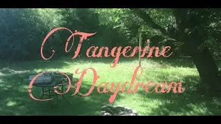 Tangerine Daydream #CormanChallenge @RogerCorman