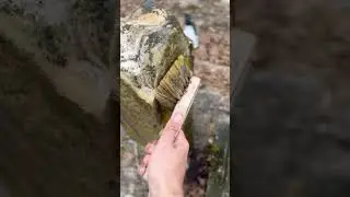 Restoring a Forgotten Obelisk Headstone &ndash; Historic Cemetery Preservation - Step 1