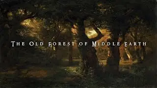The Old Forest of Middle Earth