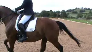 Tig Advanced Medium FS Burrows 70.33%