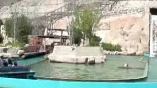 Benidorm
