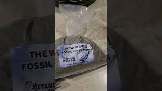 Metamora Gem Mine...