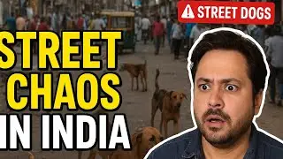 &ldquo;Street Chaos in India | Supreme Court vs Street Dogs | Why Our Roads Are Not Safe!&rdquo;
