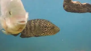 DSCN0504