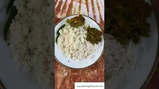 Beautiful Plain Rice