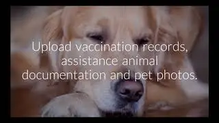 Maxfield Pet Screening