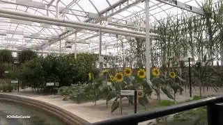 Living with the Land, Epcot, Walt Disney World HD (1080p) On-Ride Front Row