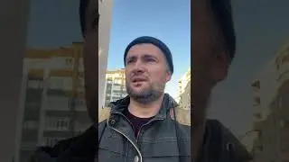 WhatsApp или Telegram?