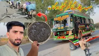 150 Fish Pakar Lee 😱￼Hand fishing ￼🎣Sab Mehman Chala Geya 😭Tarditional Hand fishing 🎣 | Hamza sidhu