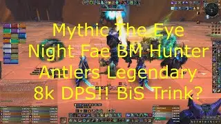 Mythic The Eye - 8k DPS - Night Fae BM Hunter - BiS Trink Drop - 99% ilvl Parse- 9.1 Shadowlands.