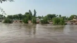 Heavy Flood in Ravi River breaking bank of river