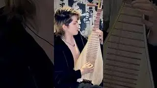Pipa instrument - Crescyin