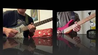 What you will get from Pimp My Licks Feedback service?