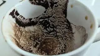 Гадание на кофейной гуще для Льва ♌ ☕ 16&ndash;22 февраля 2026 г.