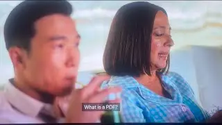 What is a P-D-F?