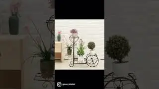 Green interioz Brings Plants & Plant stand For Patnaits in Very cheap rate.contat us now