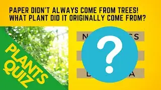 Plants Trivia Quiz