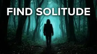 Forest Soundscape — Slow Ambient Atmosphere for Evening Rest (90 Minutes)