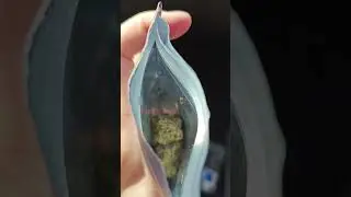 Just rolled up a J of this Revelry Frosted Runtz