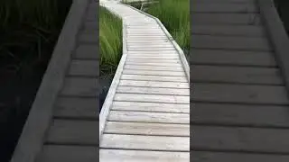 Virtual Scenery for treadmill workouts on my channel. #treadmill #naturewalk #workouts