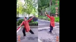 杨氏28式太极扇完整版  正背面分解教学