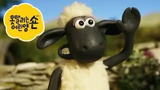숀 더쉽 🐑 양의 물결어린이용 만화 🐑 어린이 친화적 시리즈 - 숀 더쇼위츠