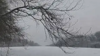 #vision  #viral #viralvideo #nature #blackice 