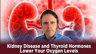 Kidney Disease and Thyroid Hormones Lower Your Oxygen Levels