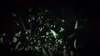 Friday the 13th The Game - Chasin' Jason - The Hit Squad - Part 1