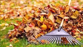Effective Leaf Removal Services Omaha Lincoln NE Council Bluffs IA| Eppley Handyman Services