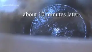 Using the Vacuum Chamber to Stabilize Punky Wood