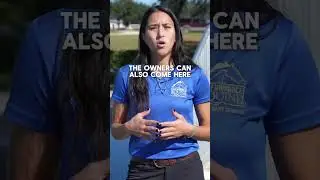 EQUINE SPORTS THERAPY