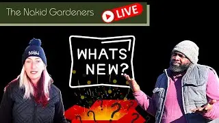 🔴The Nakid Truth : New Stuff Behind The Scenes