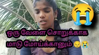 ஒரு வேளை சொறுக்காக மாடு மோய்க்கானும் 😔😭 part 6.... பிரியாவின் கதைகள் 