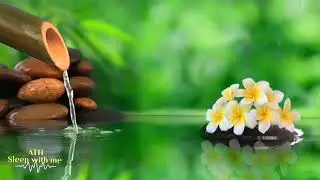 [ASMR] Bamboo Water Fountain | Relaxing Sound to Relieve Your Stress (Sleep with me 😴😴😴 )