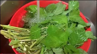 Cooking Stir fry pigweed Amaranth Chinese spinach Vegetables Ginisang Kulitis na gulay