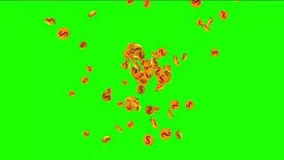 Dollar Coin Green Screen