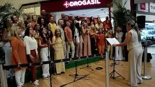 28 de dezembro de 2025