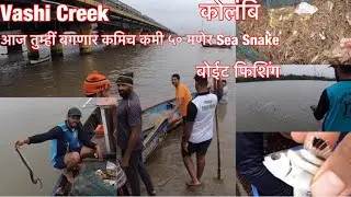 वाशी गावतली मासेमारी | बोईट फिशिंग आणि डोळी ला भेटलेलि जिली कोलंबि Fish Market Vashi Goan NaviMumbai