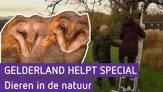 Dieren in de natuur | Gelderland helpt special