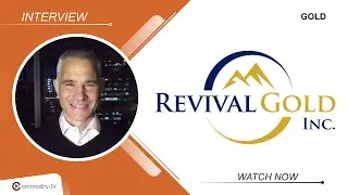 Revival Gold: PEA and Updated Resource for Mercur Coming Until End of Q1 2025