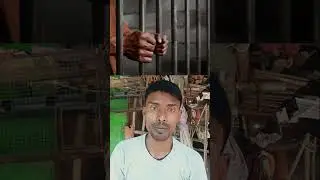 Chandan Mishra Murder Case || Bihar Crime News || Patna murder case #biharcrime #patnanews
